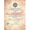 Deutsches Kreuz in Gold Urkunde - Maßgeschneidert