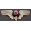 Deutsche Reichsbahn Cap Badge (Gold)