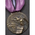 Colonial Medal of the 104th Legion IV Div. CC.NN.