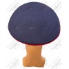 Deutsche Reichsbahn Offircers Visor Cap