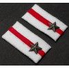 Collar Tabs - 54ª Divisione di Fanteria "Napoli"