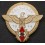 Distintivo HitlerJugend - Gausieger im Reichsberufswettkampf 1944 (Oro)