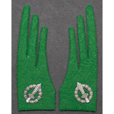 Collar Tabs - Alpine troops during the RSI period