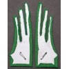 Collar Tabs - Alpine troops during the RSI period