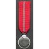 Medaglia Del Fronte Orientale