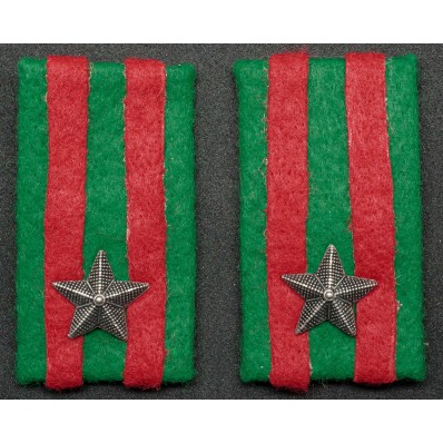 Collar Tabs - 21st Infantry Regiment "Cremona"
