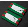 Mostrine del 21º Reggimento Fanteria "Cremona"
