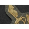Badge for Cap or Beret for RSI Tank Crew - Officers