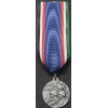 Medal "Two Peoples One War"