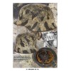 -German Helmets 1916–1945 – Jan M. Meland