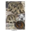 German Helmets 1916–1945 – Jan M. Meland
