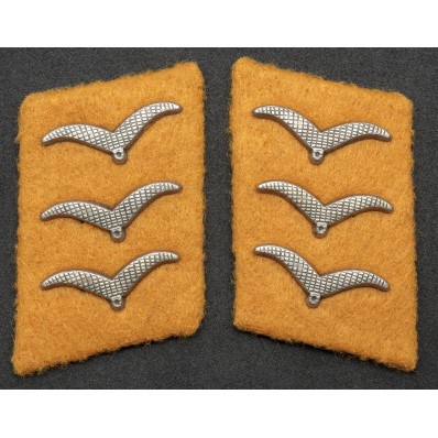 Kragenspiegel - Luftwaffe (3)