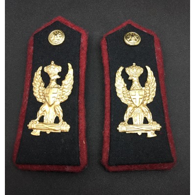 Cloth Insignias - Public Security Agents Corps