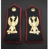 Cloth Insignias - Public Security Agents Corps