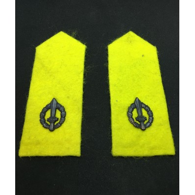 Cloth Insignias - Artillery of the "Risoluti" Battalion
