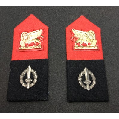 Stoffabzeichen - Militärpolizei, Infanteriedivision "San Marco"