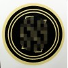Helmet Decal - SS-Verfügungstruppe SS-VT