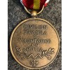 Medal Blaue Division (Troup)