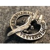 Diving Bombers Group Badge
