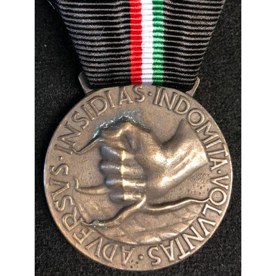 Medal for the "Anti-Guerrilla Fight"