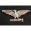 Cap Badge - RSI Police