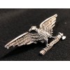 Cap Badge - RSI Police