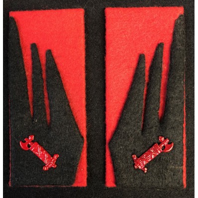 Mostrine - Brigata Nera "Aldo Resega"