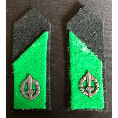 Cloth Insignia - Battalion. Musketeers of the Alps (RSI)