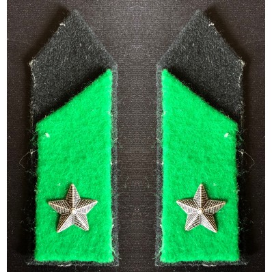 Cloth Insignia - Hunters of the Alps
