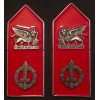 Mostrine - Divisione Fanteria "San Marco" (Completamente in metallo)