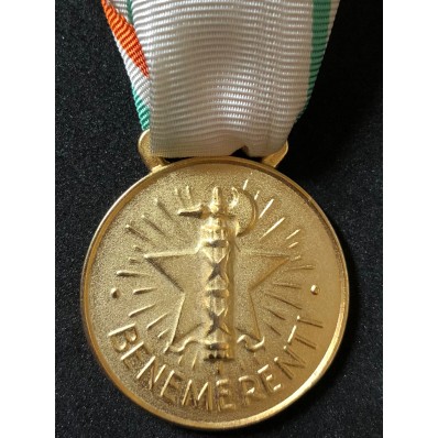 Medaglia ai benemeriti della Croce Rossa (Oro)