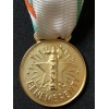Medaglia ai benemeriti della Croce Rossa (Oro)