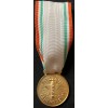 Medaglia ai benemeriti della Croce Rossa (Oro)