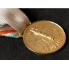 Medaglia ai benemeriti della Croce Rossa (Oro)