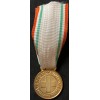 Medaglia ai benemeriti della Croce Rossa (Oro)