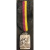 Medal - Anti Aircraft Artillery Militia