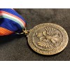 Medaglia commemorativa della 9ª Armata