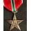 Italian Partisan Division "Garibaldi" Cross