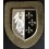 "Charlemagne" Arm Shield