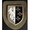 "Charlemagne" Arm Shield