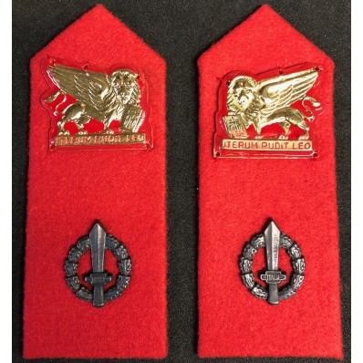 Mostrine - Btg. Fanteria