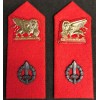 Cloth Insignia - Infantry Battalion