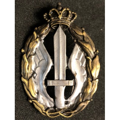 Air Force Badge for war actions, Assault and Combat (Silver)