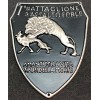 Shield - 1st Assault Battalion Forlì