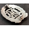 DRL Sportabzeichen (Silver)