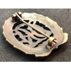 DRL Sportabzeichen (Bronze)