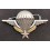 Brustabzeichen - Fallschirmjäger der Fremdenlegion