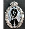 Distintivo per azioni di guerra, Tuffatori - della RR.AA. (Argento)