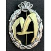 Distintivo per azioni di guerra, trasporto - della RR.AA. (Oro)
