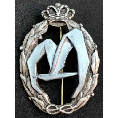 Distintivo per azioni di guerra, trasporto - della RR.AA. (Argento)